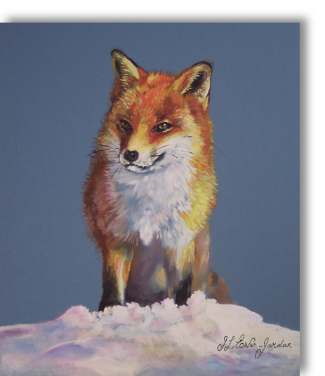 A fox stands proud in the snow